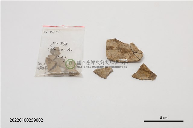 陶蓋片