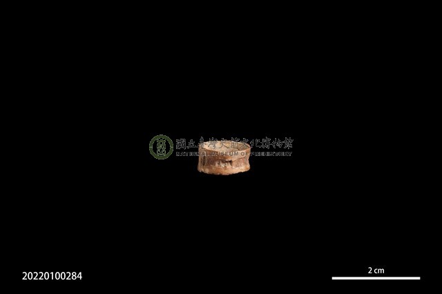 穿孔骨珠