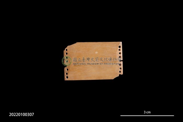 雕刻骨片