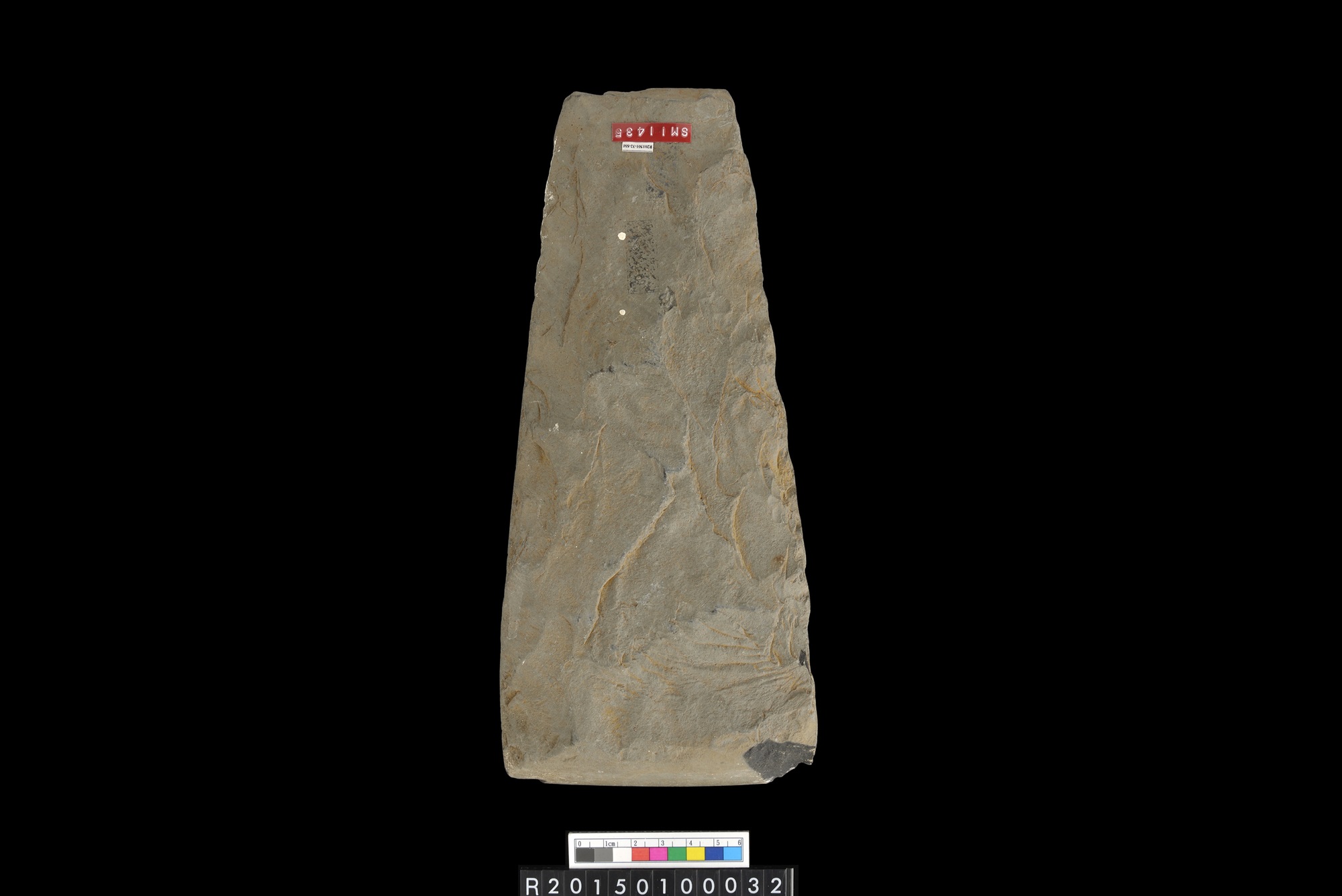 石錛/Stone adze (To'i ma'a)