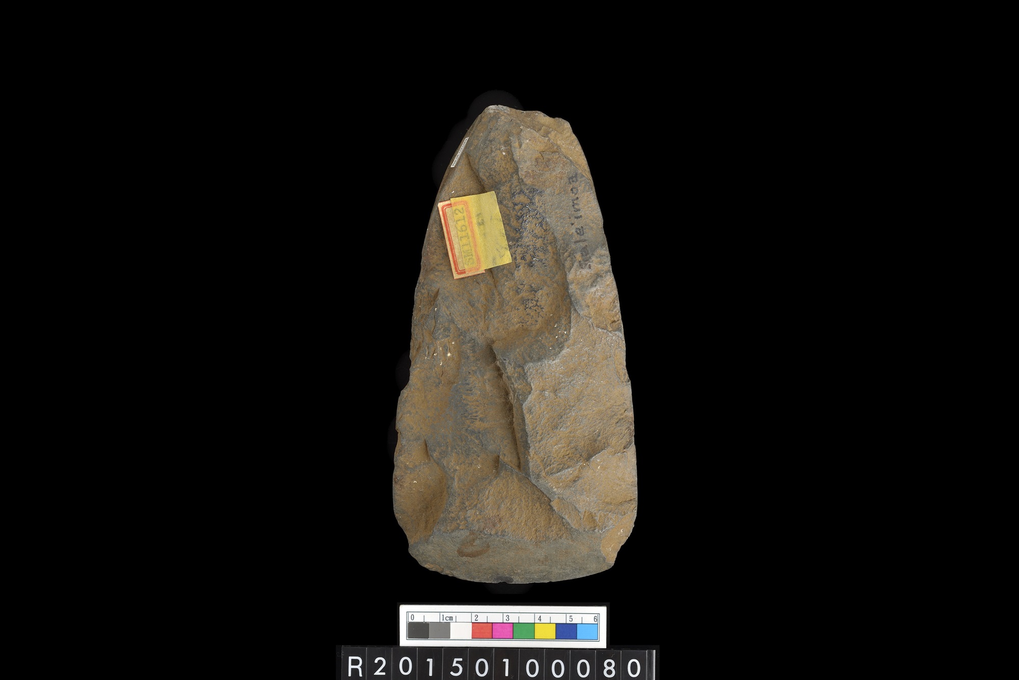 石錛/Stone adze (To'i ma'a)
