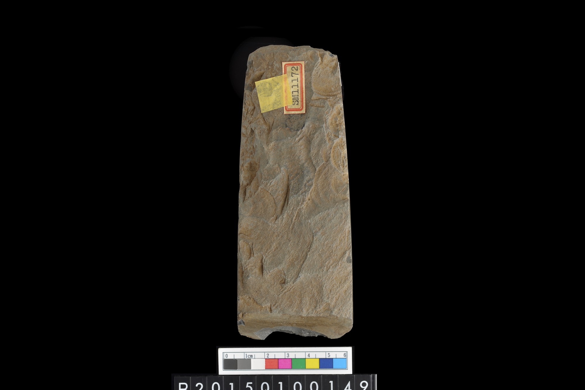 石錛/Stone adze (To'i ma'a)