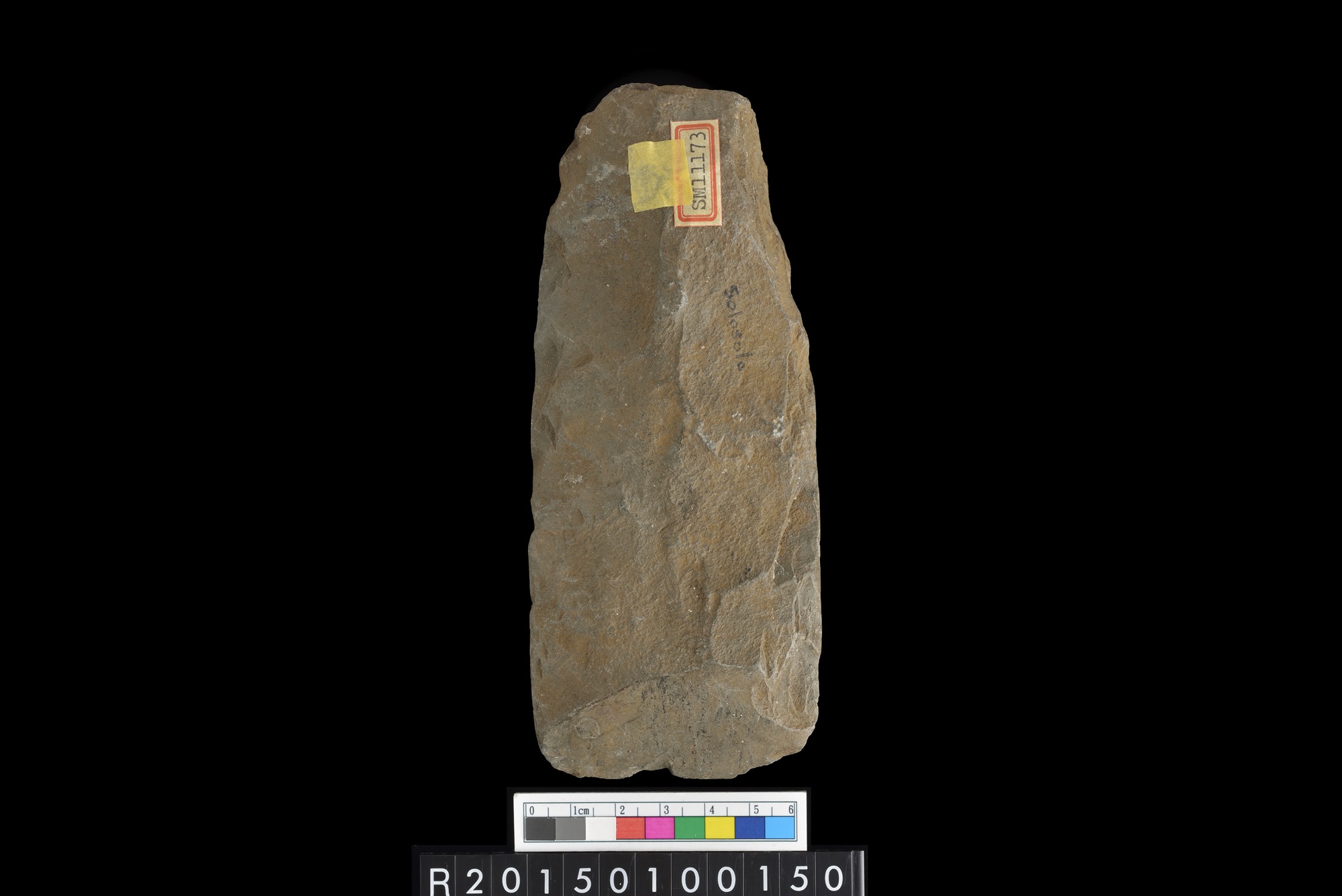 石錛/Stone adze (To'i ma'a)
