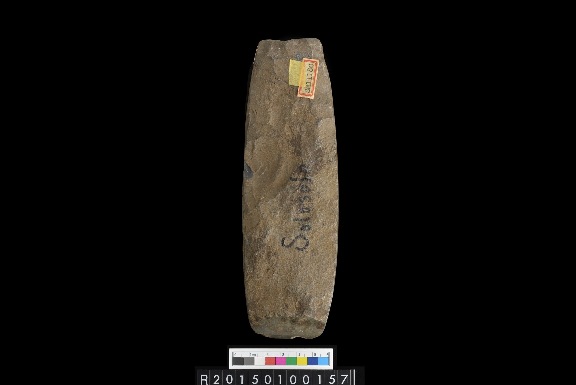 石錛/Stone adze (To'i ma'a)