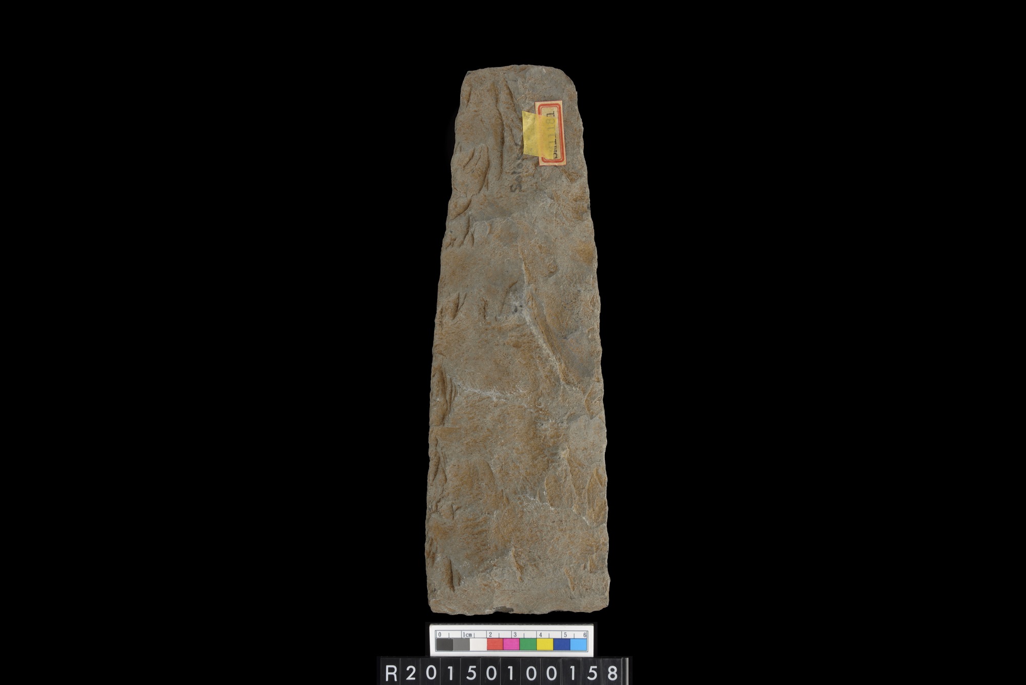 石錛/Stone adze (To'i ma'a)