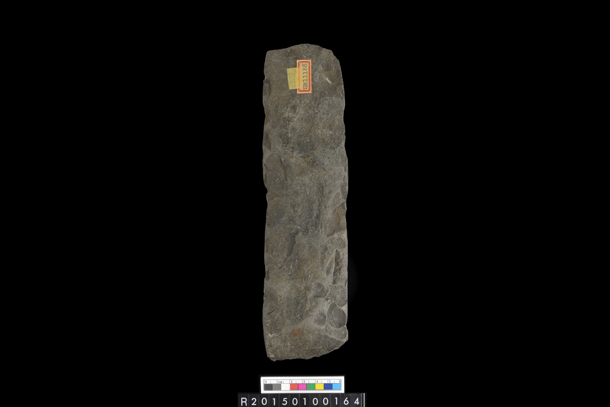 石錛/Stone adze (To'i ma'a)