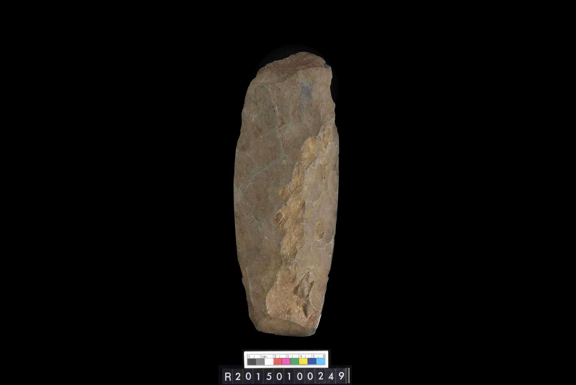 石錛/Stone adze (To'i ma'a)