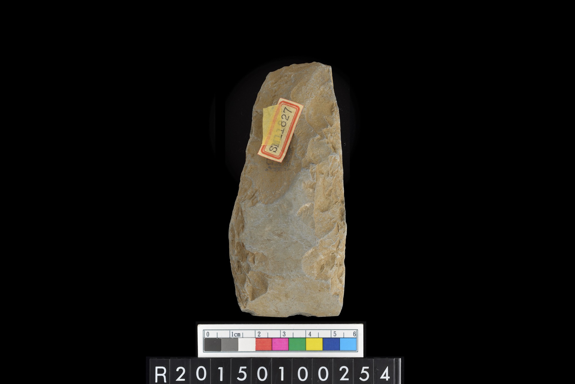 石錛/Stone adze (To'i ma'a)