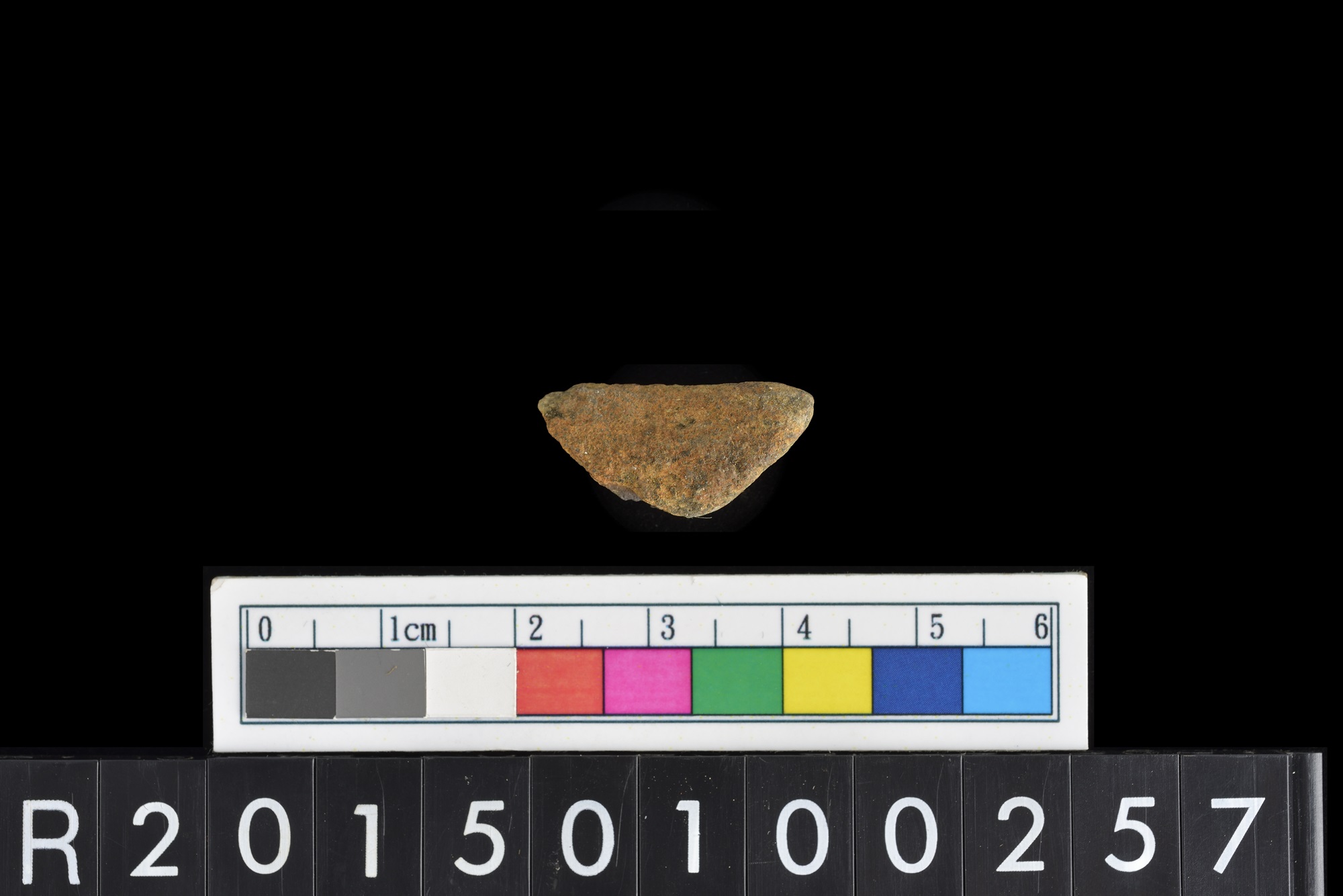 陶片/Pottery sherd