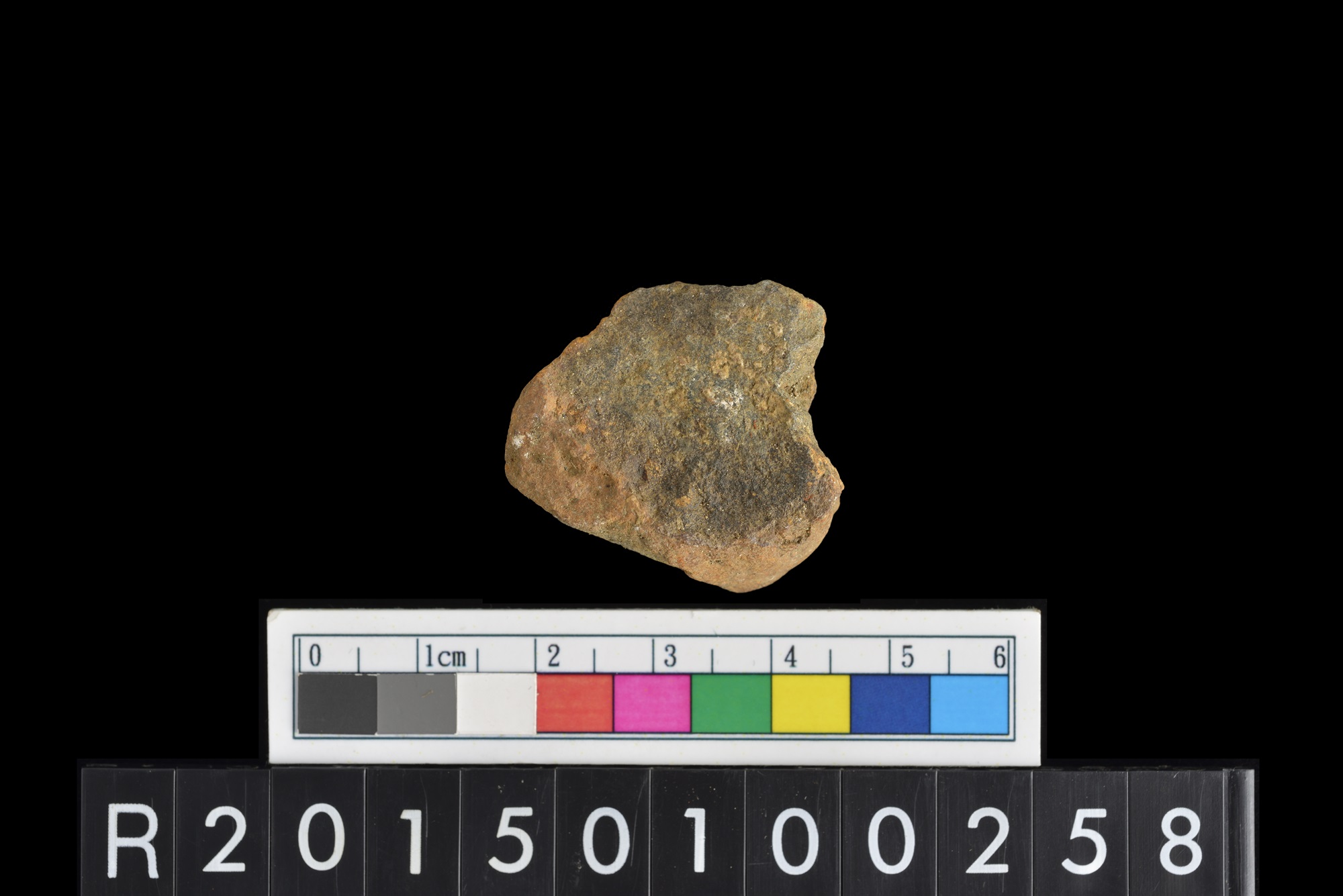 陶片/Pottery sherd