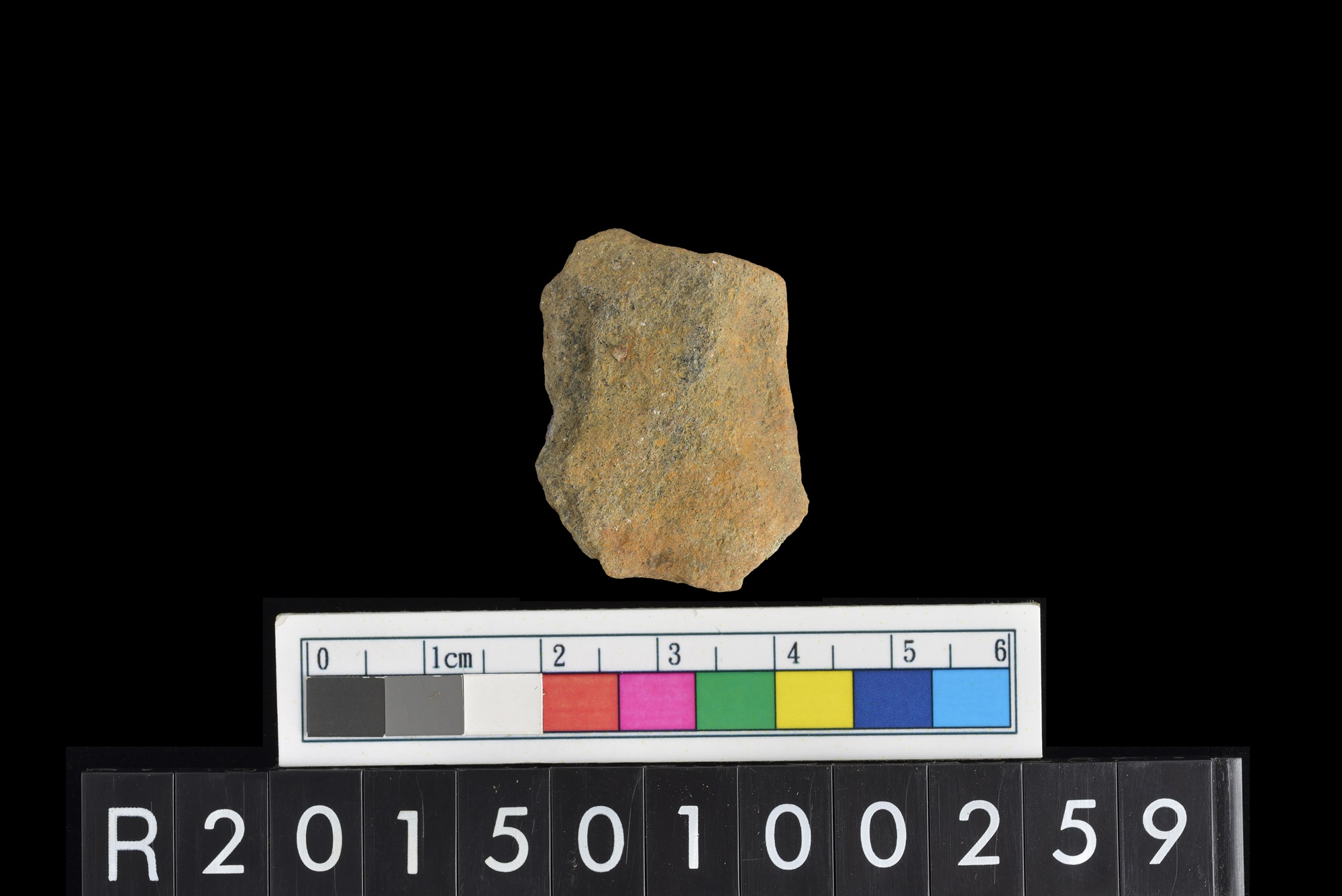 陶片/Pottery sherd