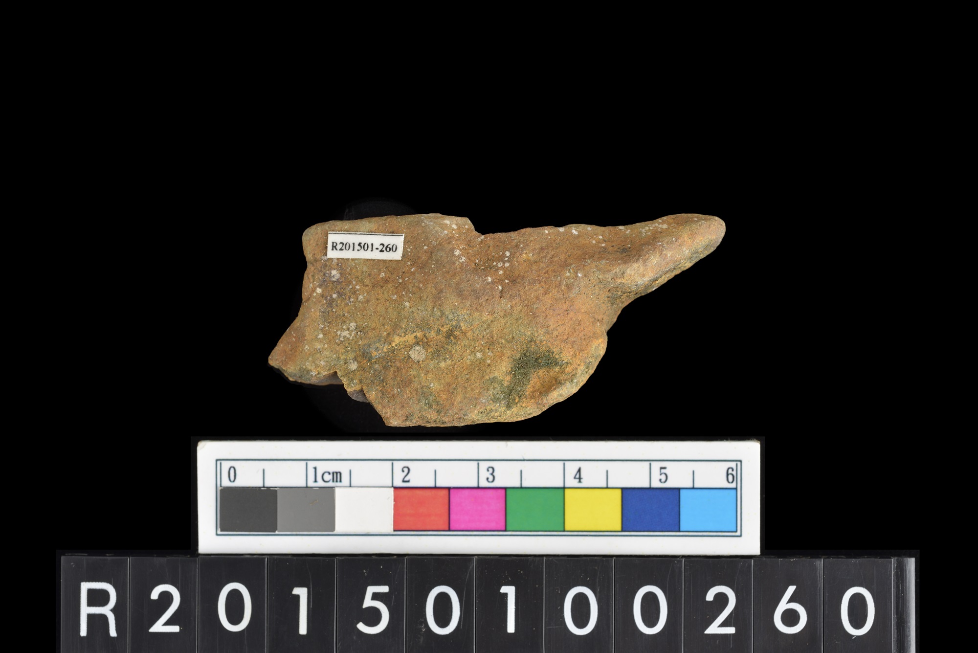 陶片/Pottery sherd
