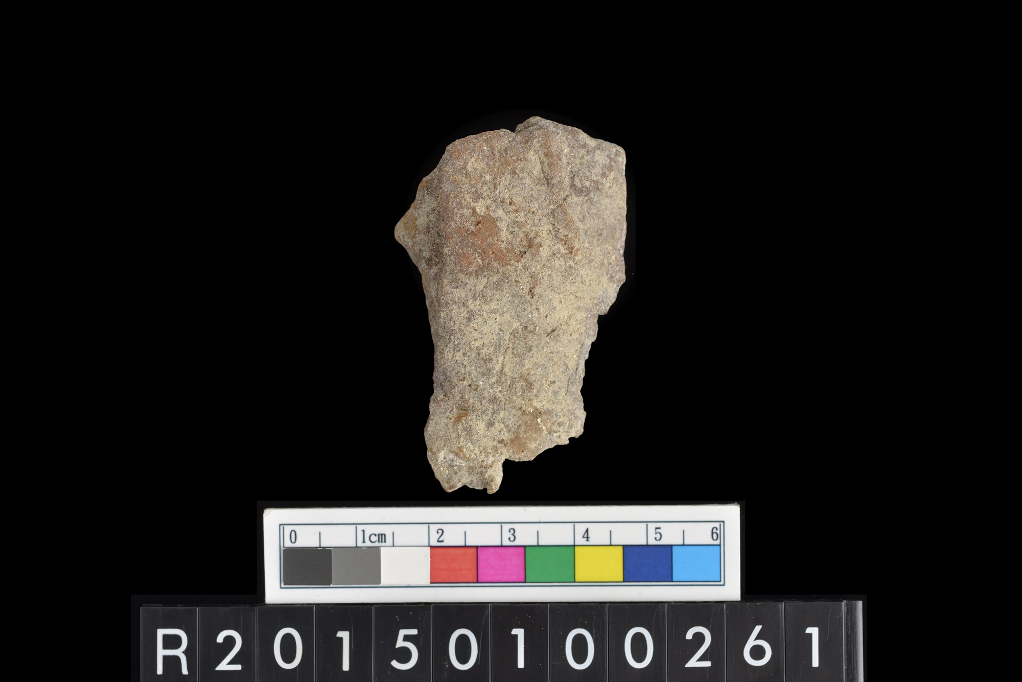 陶片/Pottery sherd