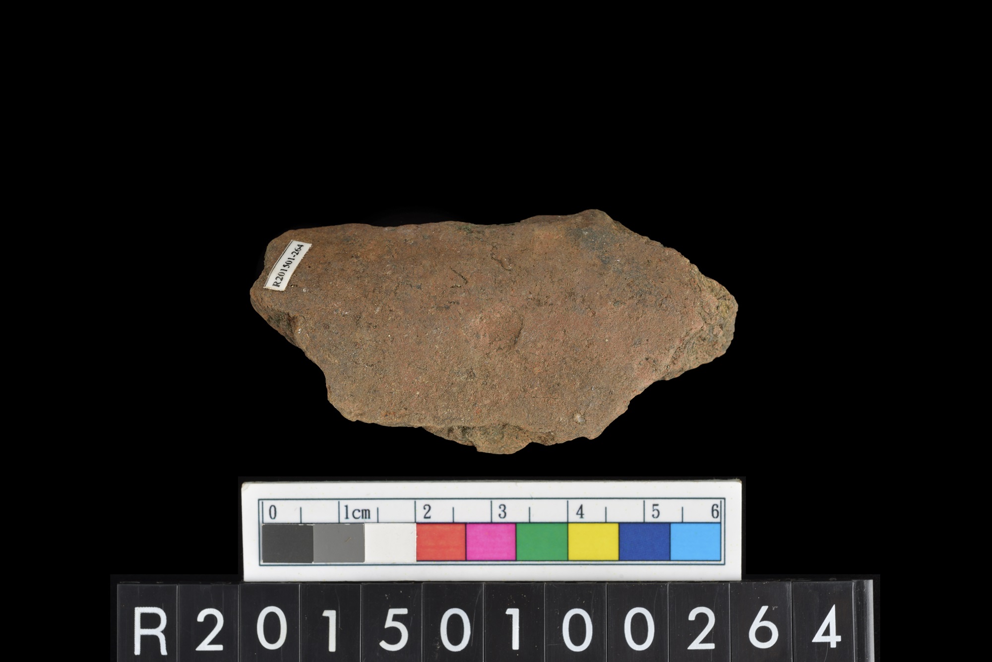 陶片/Pottery sherd