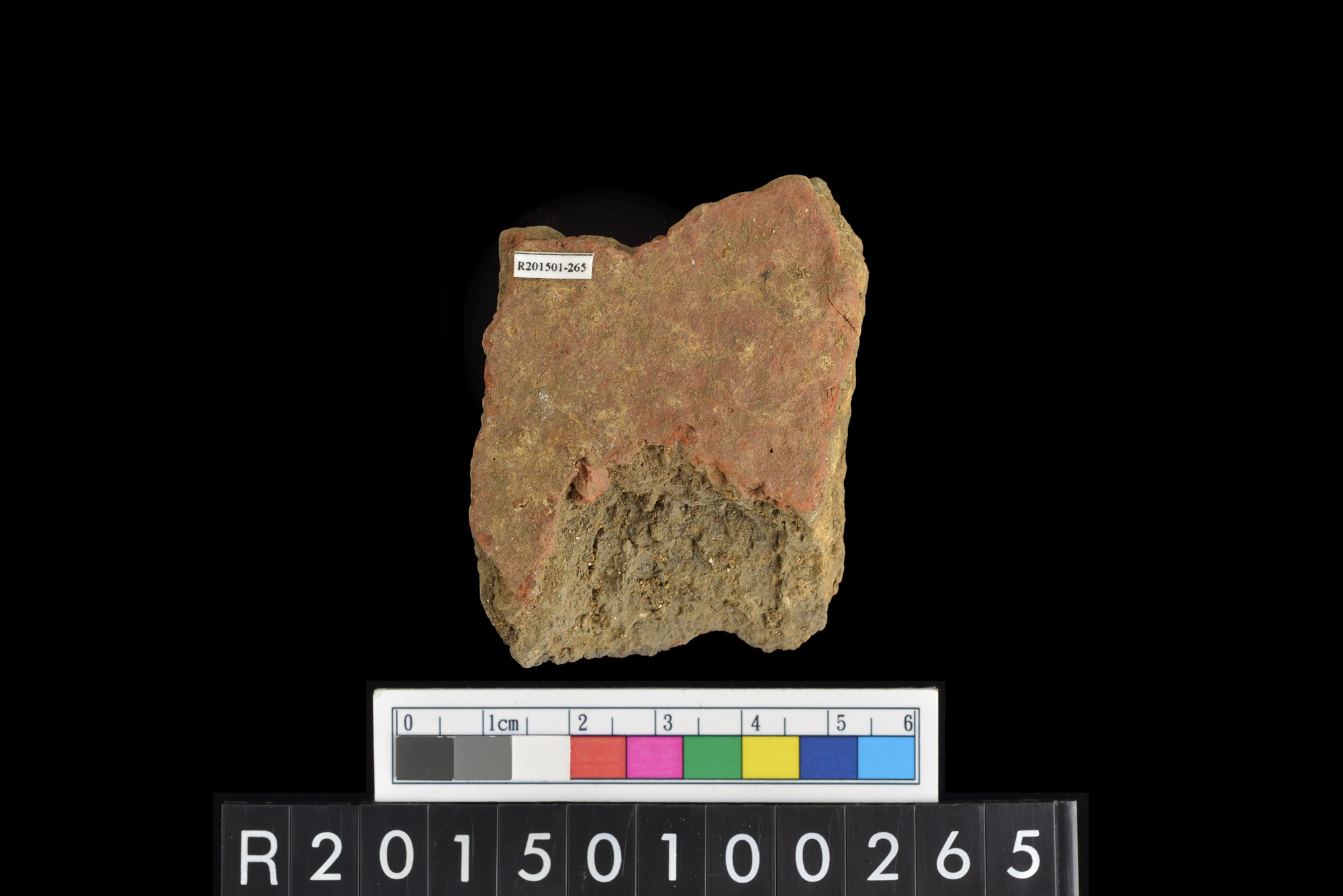 陶片/Pottery sherd