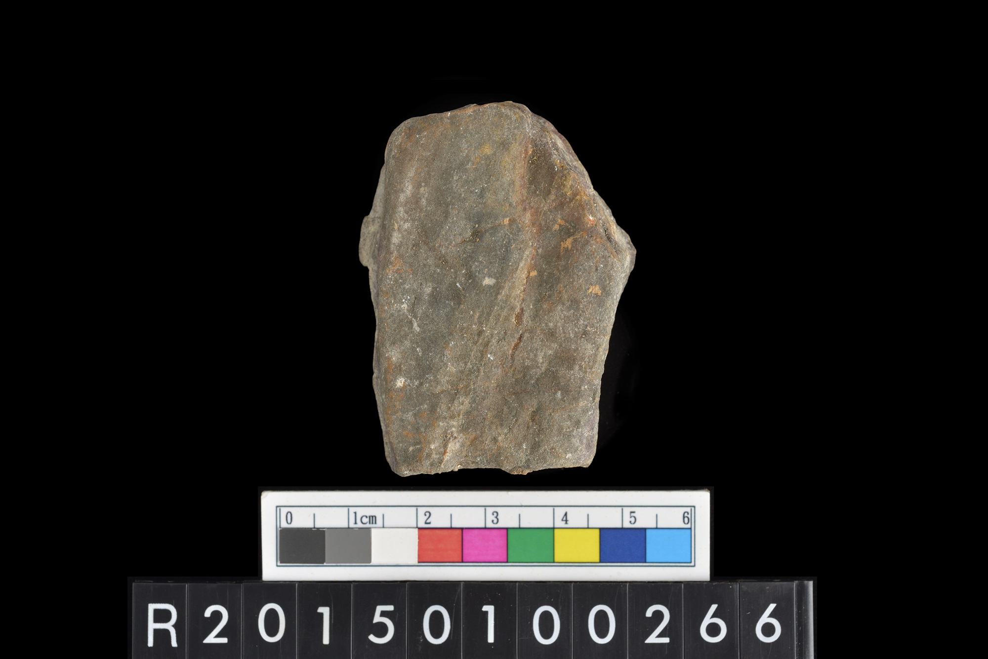 陶片/Pottery sherd
