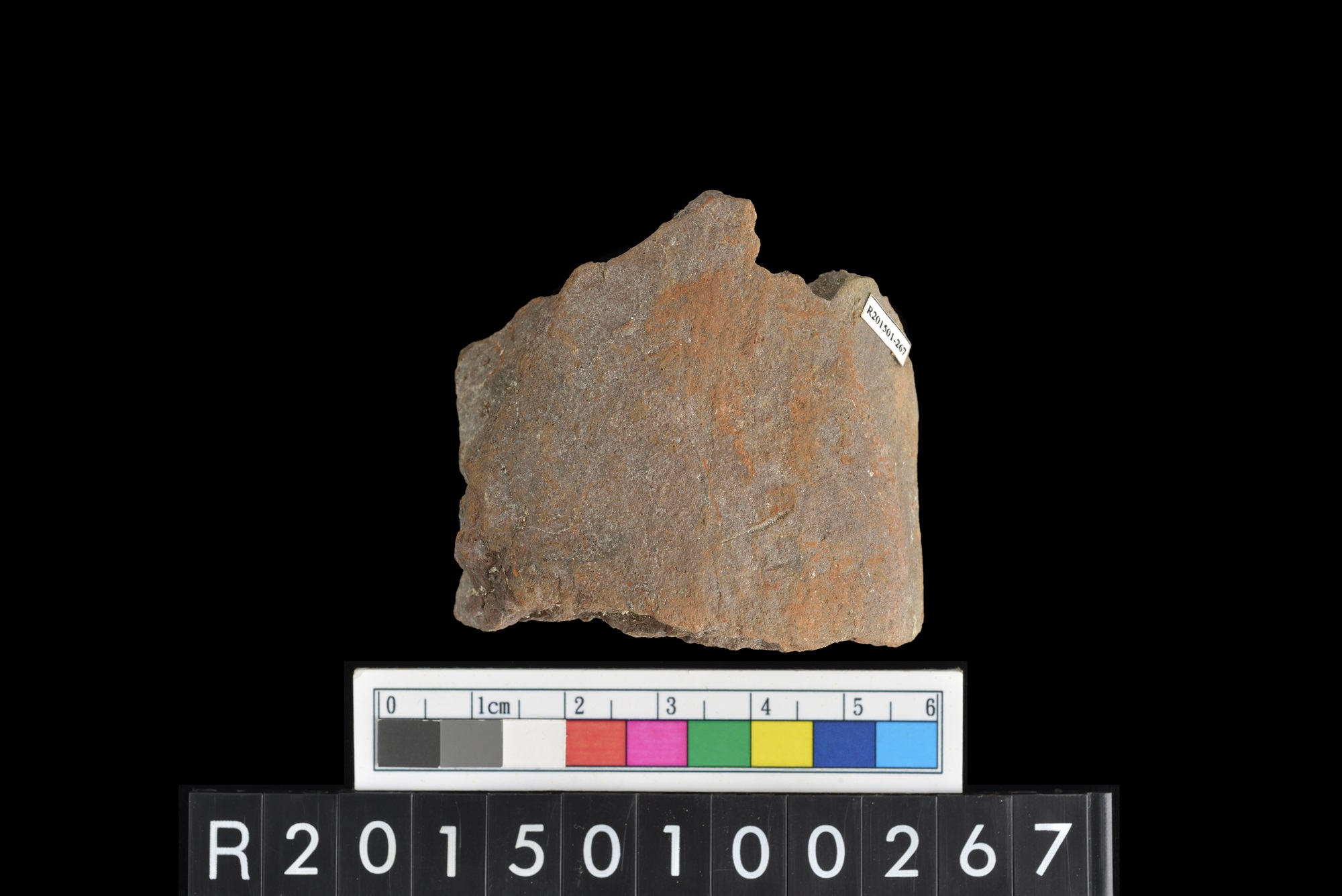陶片/Pottery sherd