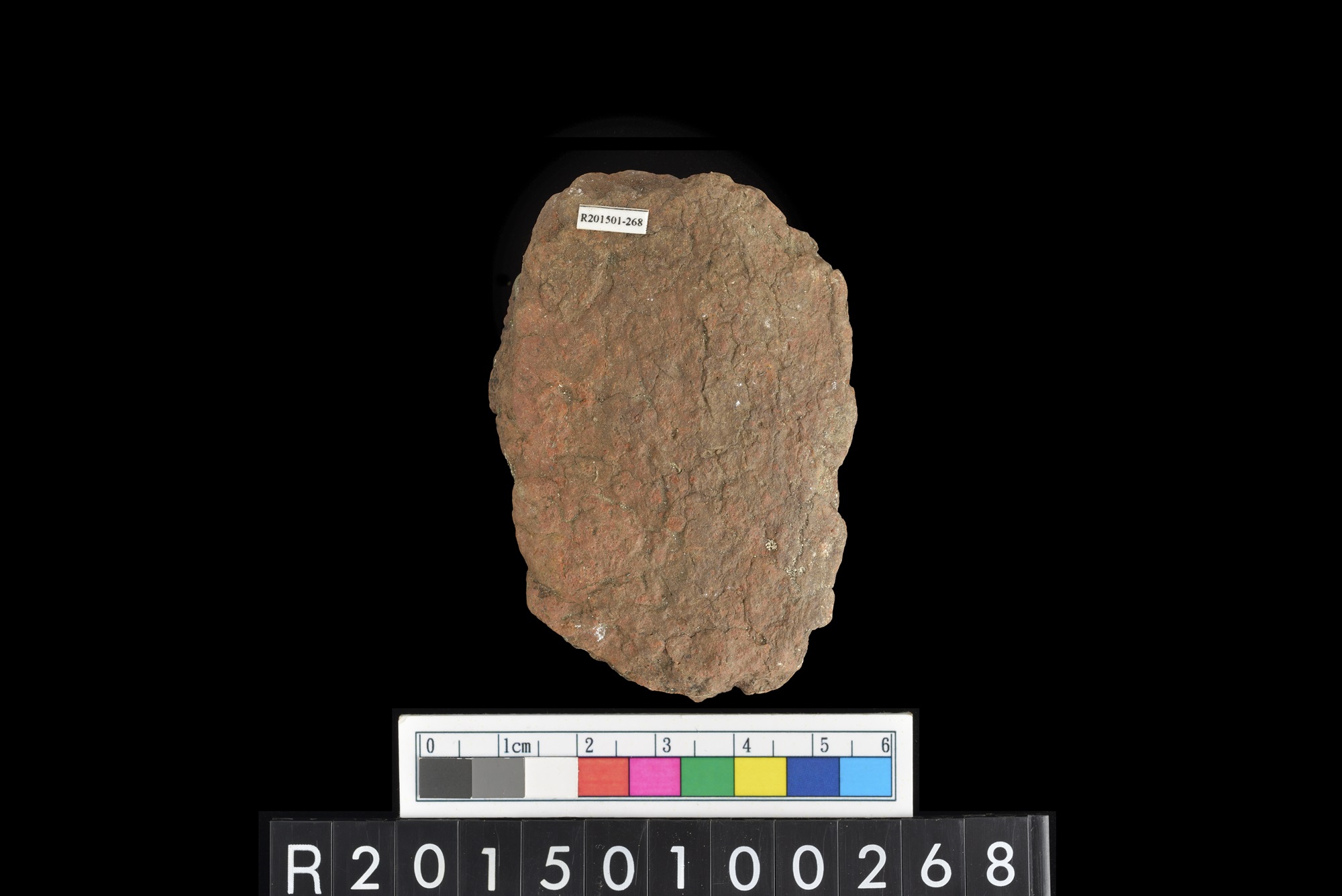 陶片/Pottery sherd