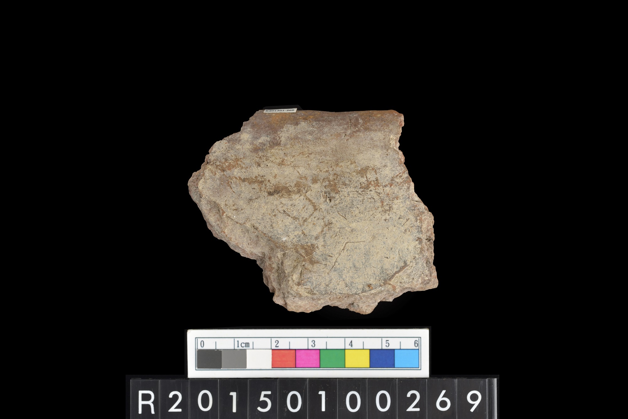 陶片/Pottery sherd