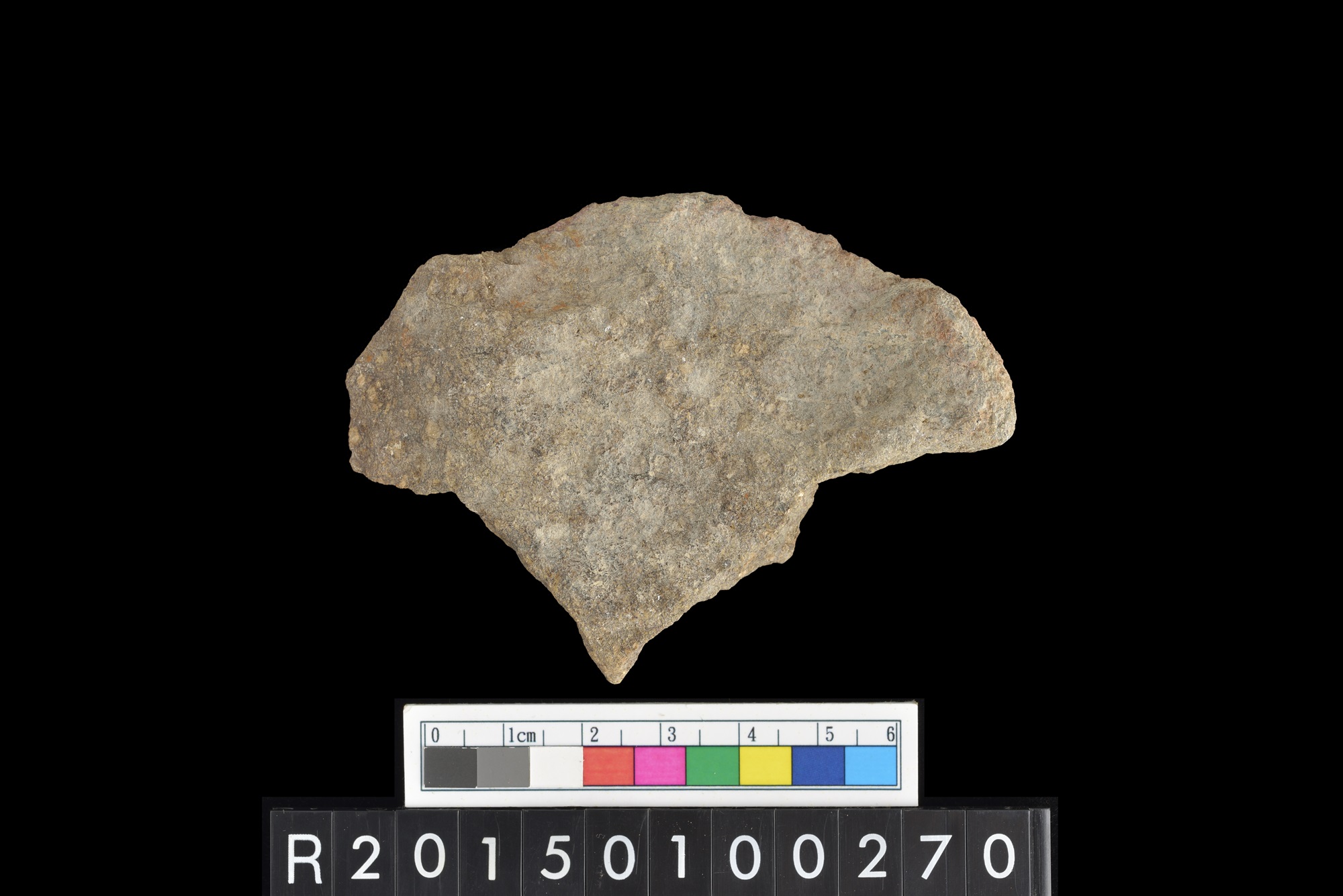 陶片/Pottery sherd