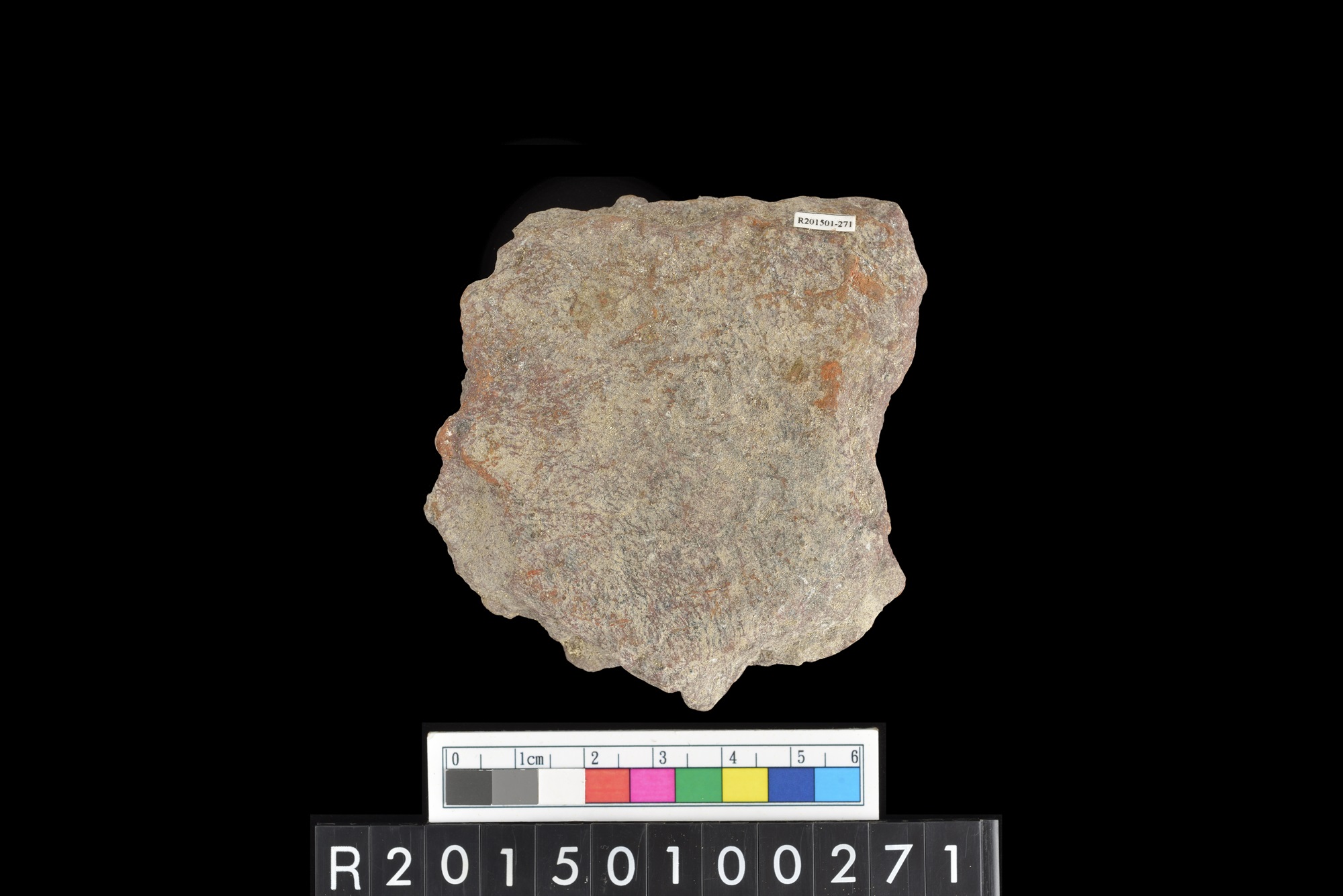 陶片/Pottery sherd