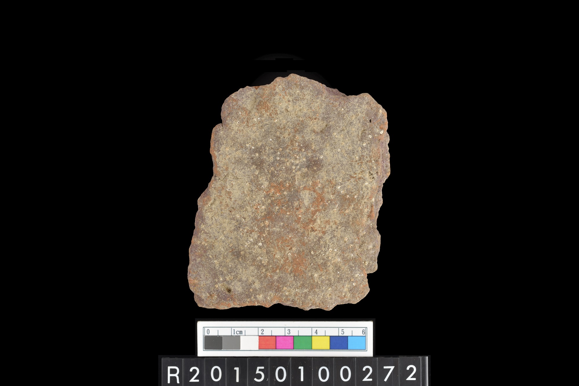 陶片/Pottery sherd