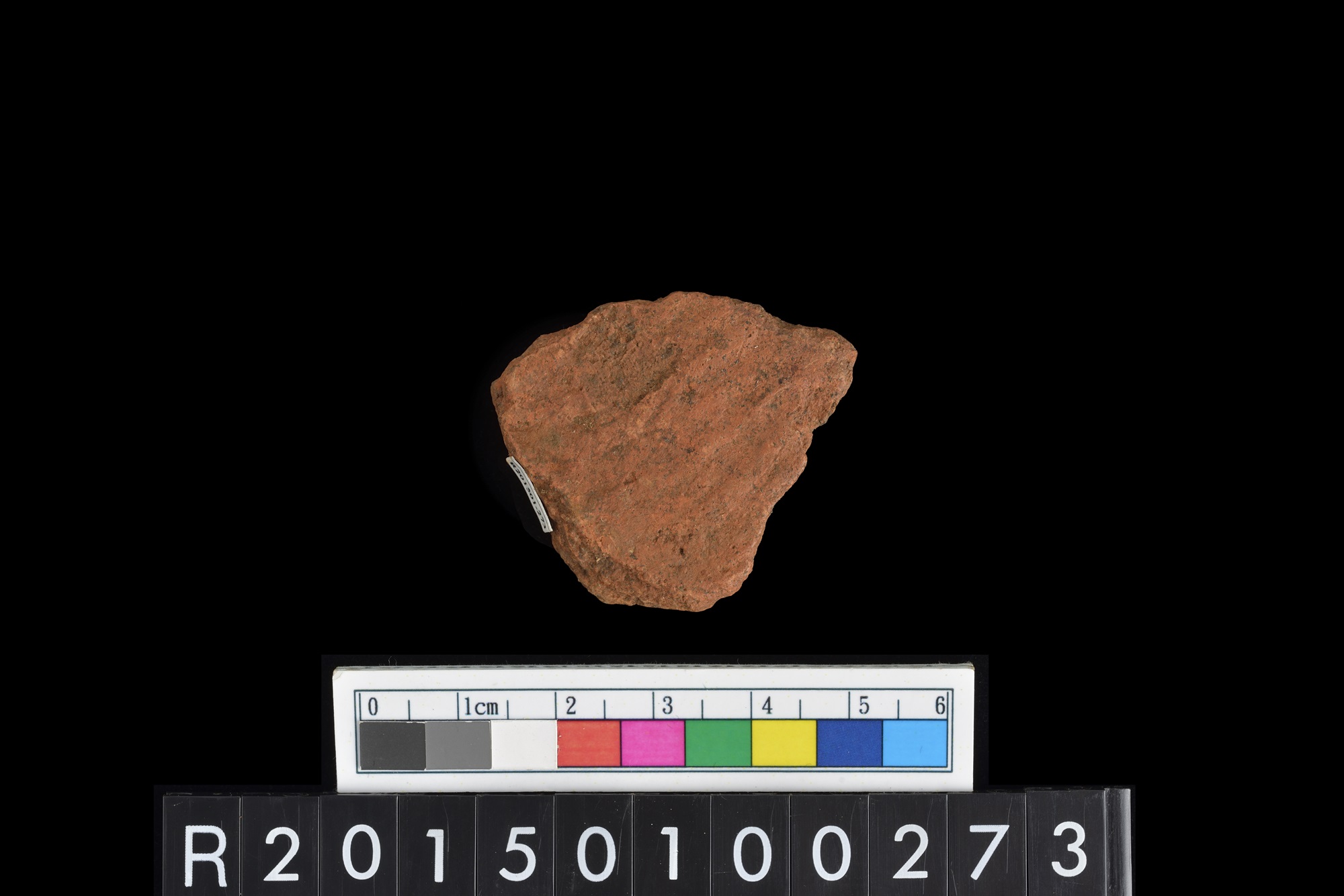 陶片/Pottery sherd