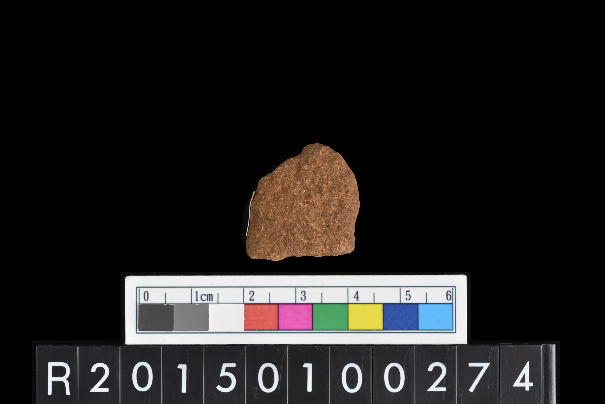 陶片/Pottery sherd