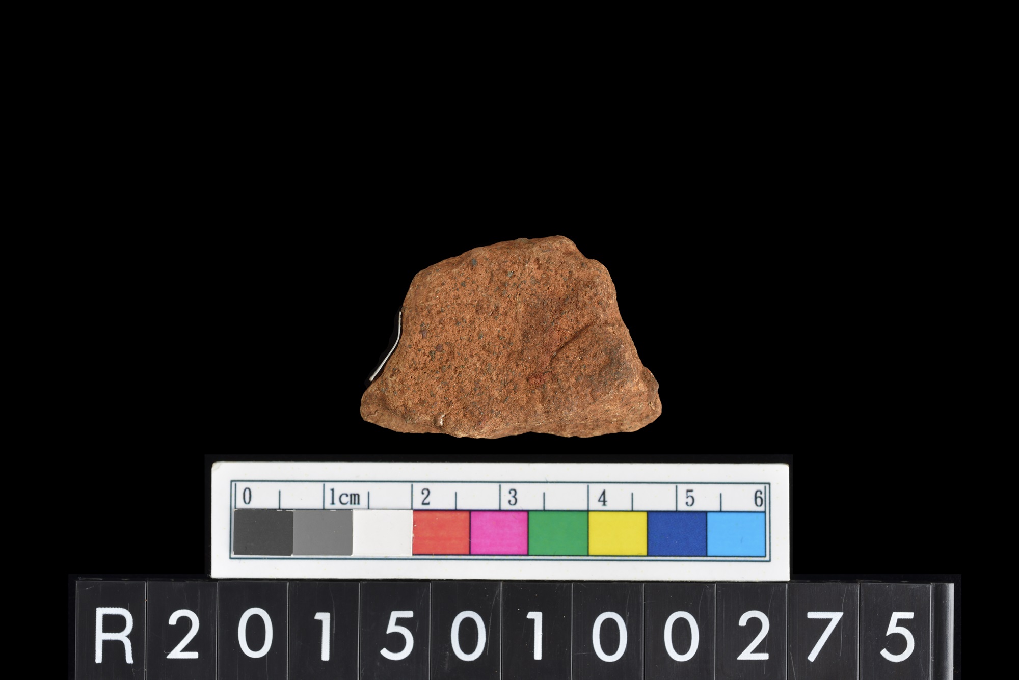 陶片/Pottery sherd