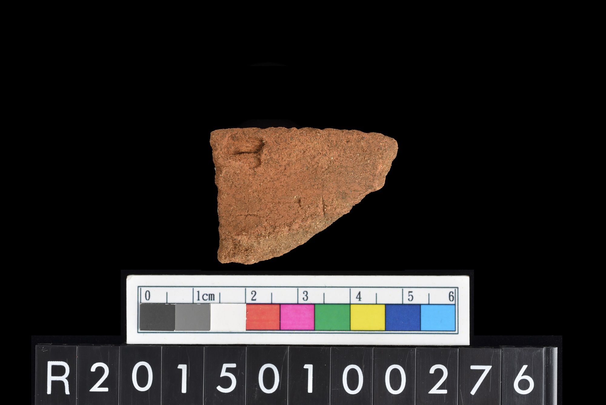 陶片/Pottery sherd