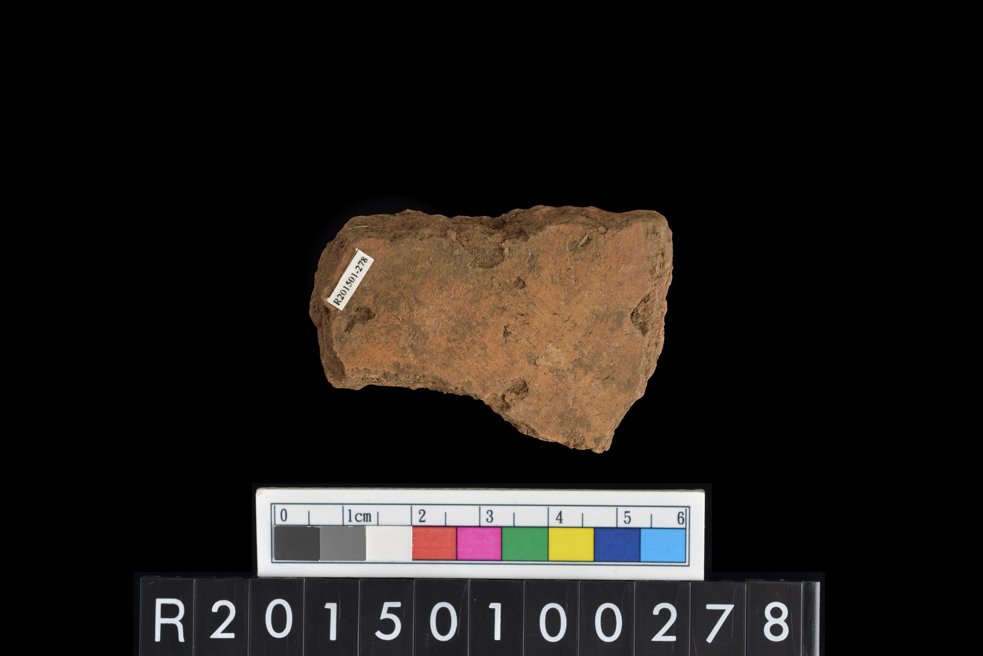 陶片/Pottery sherd