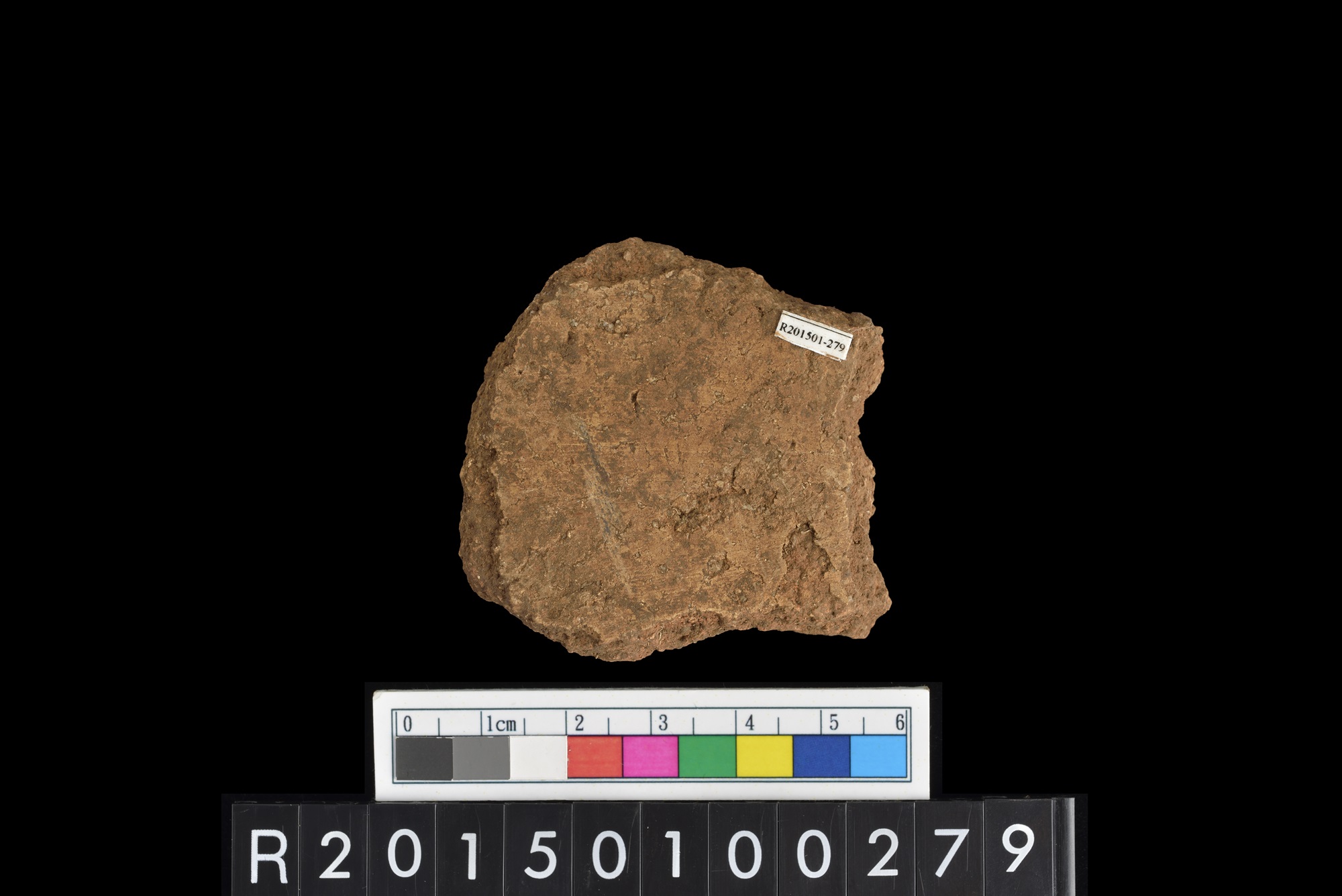 陶片/Pottery sherd