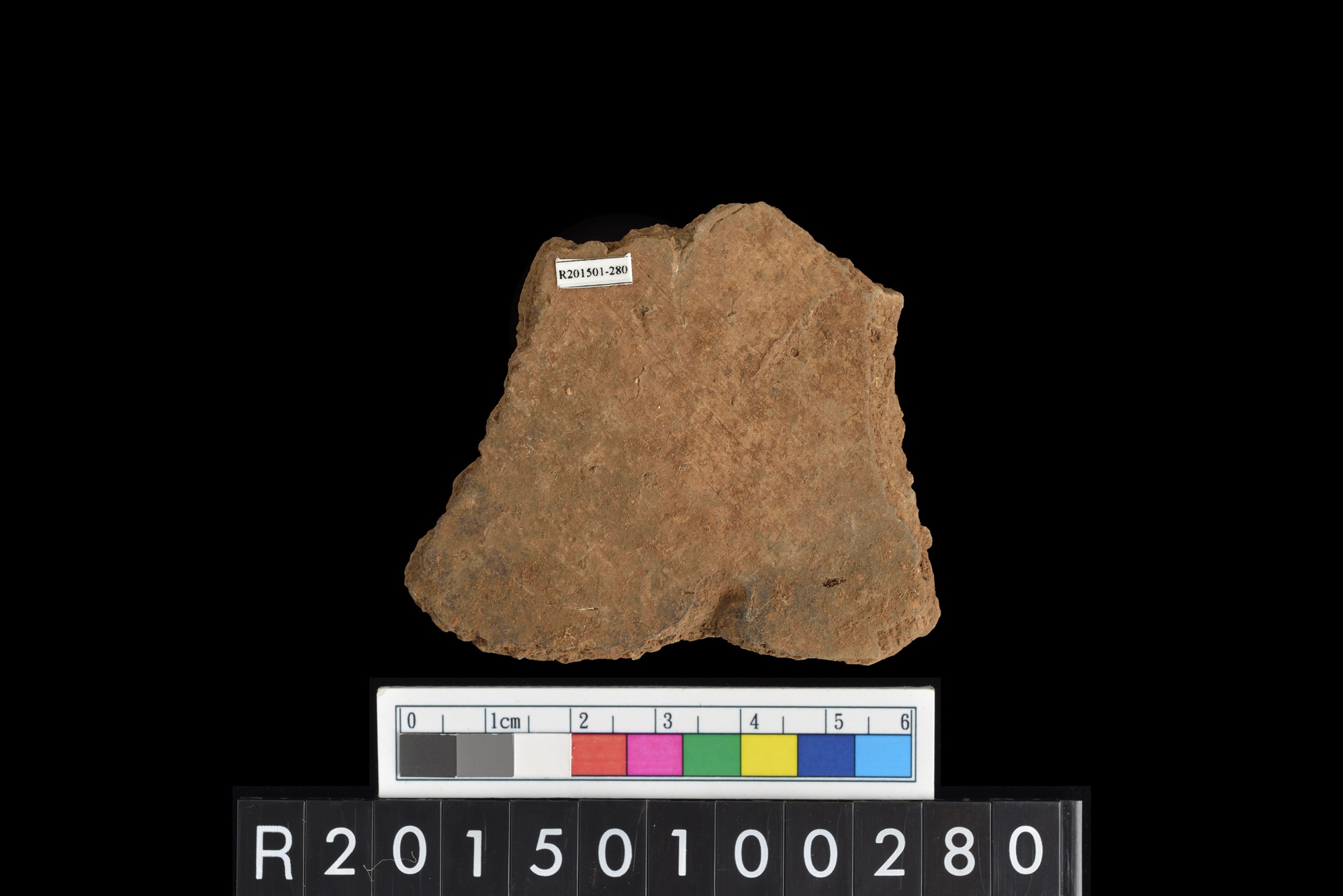 陶片/Pottery sherd