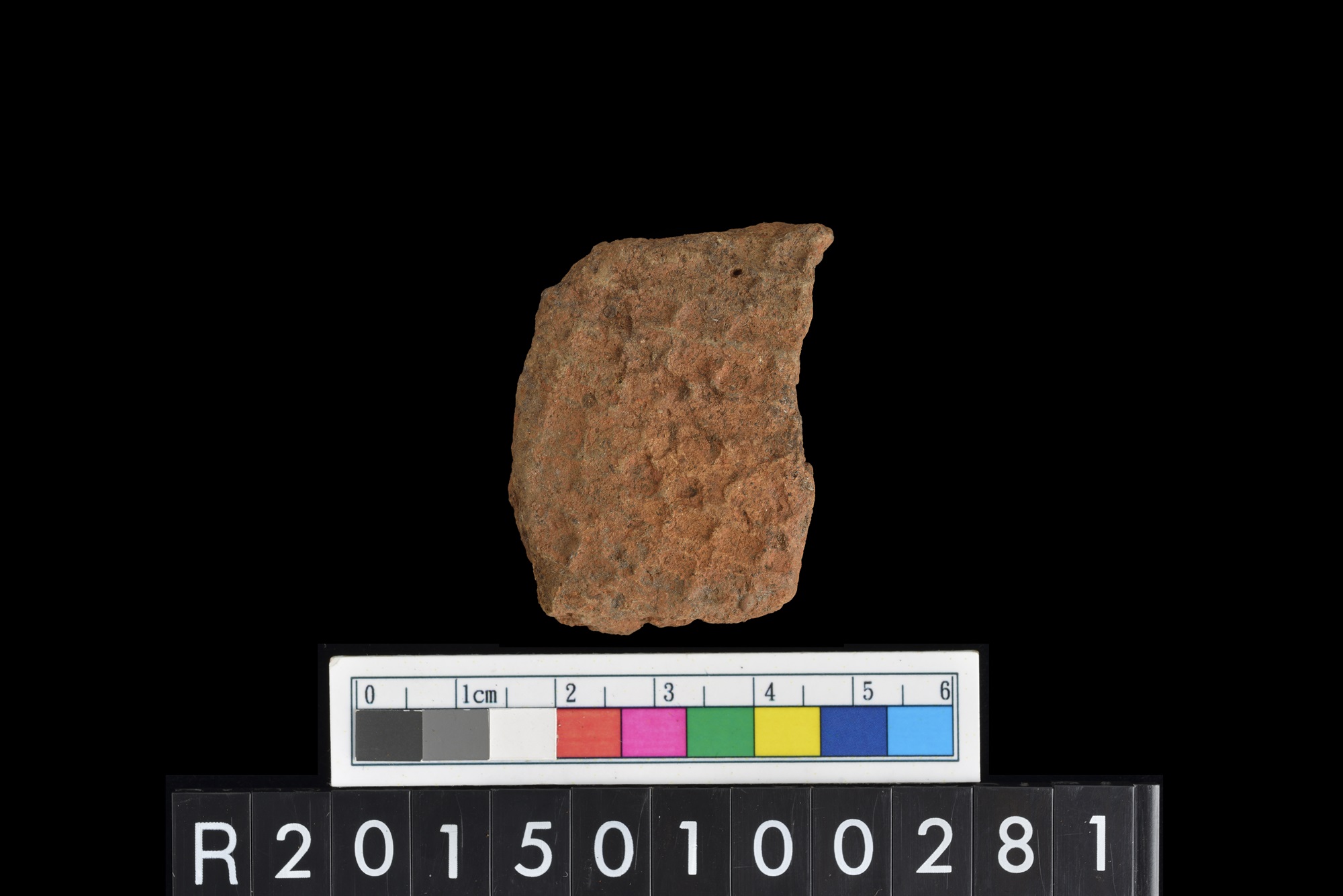 陶片/Pottery sherd