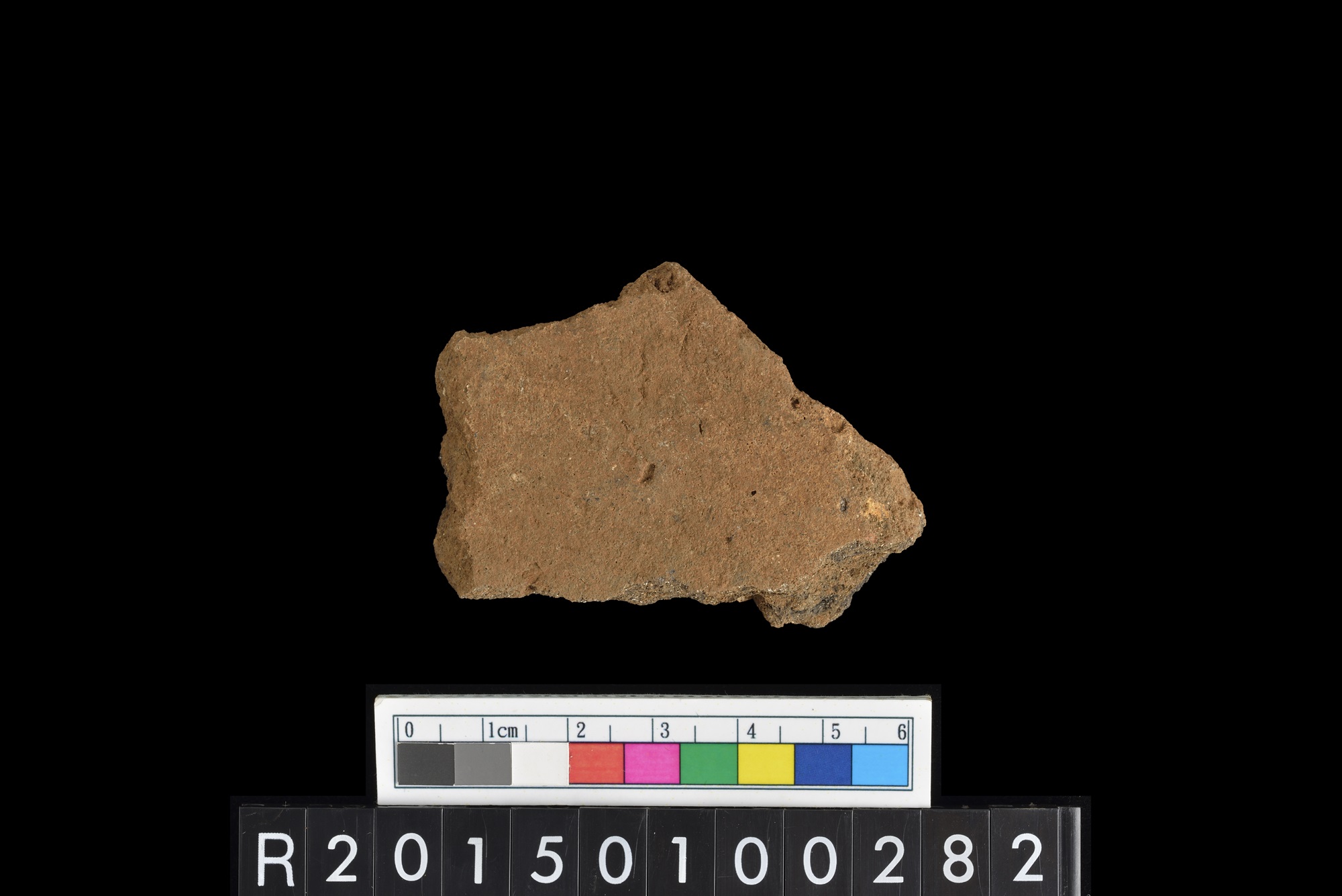 陶片/Pottery sherd