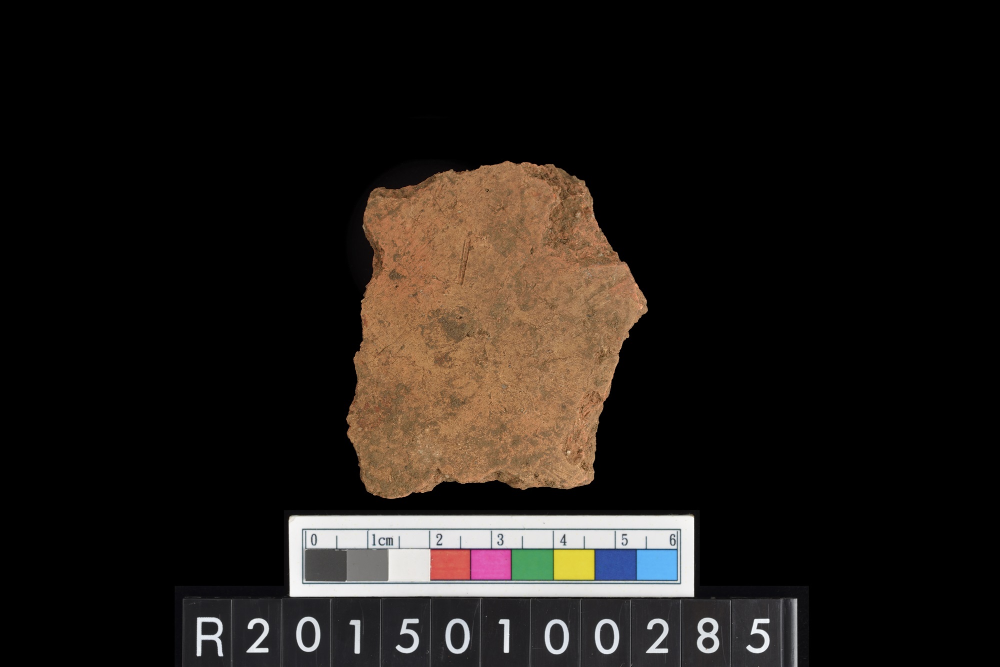 陶片/Pottery sherd