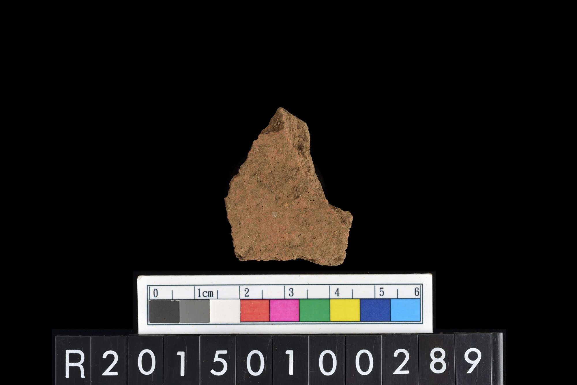 陶片/Pottery sherd