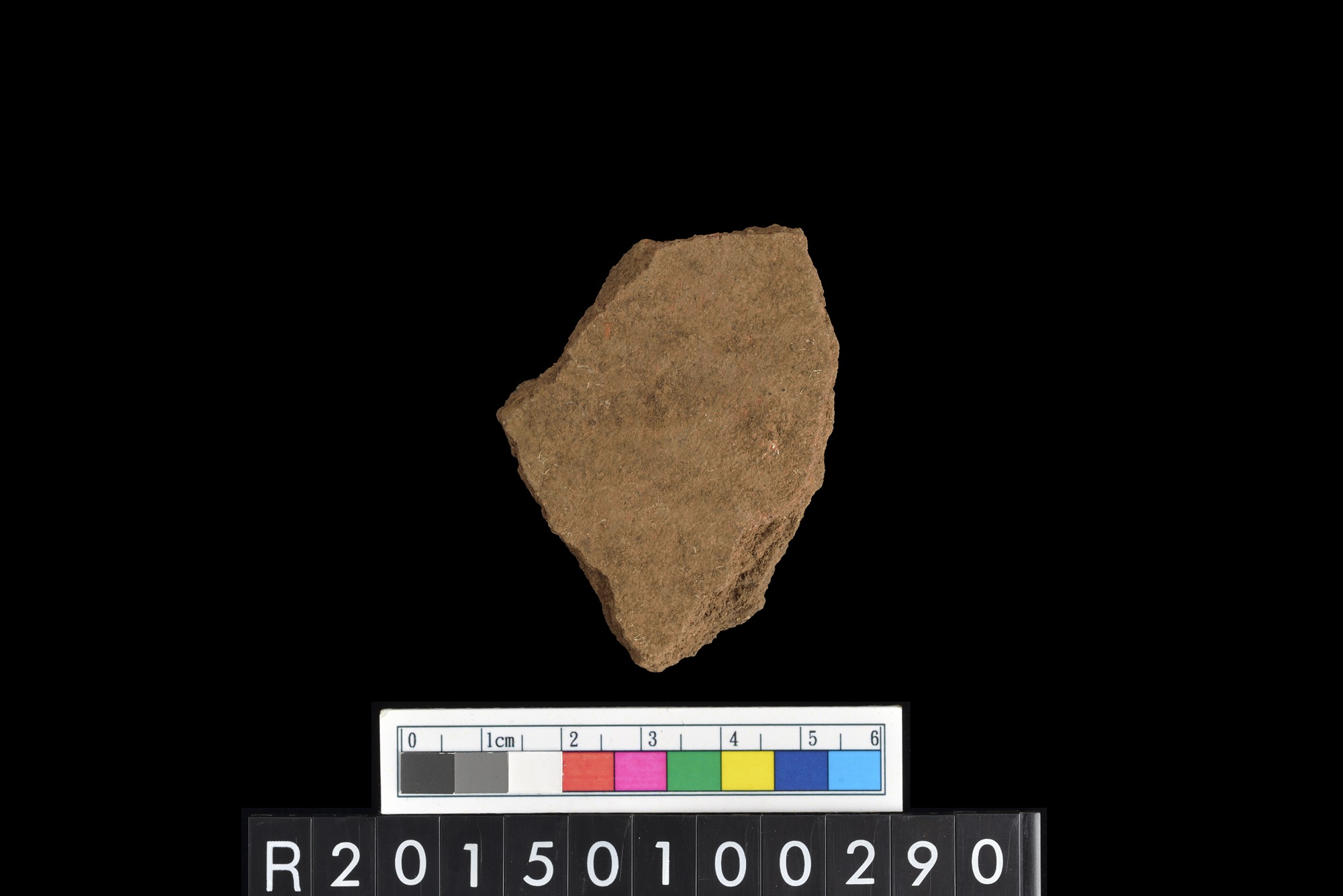 陶片/Pottery sherd