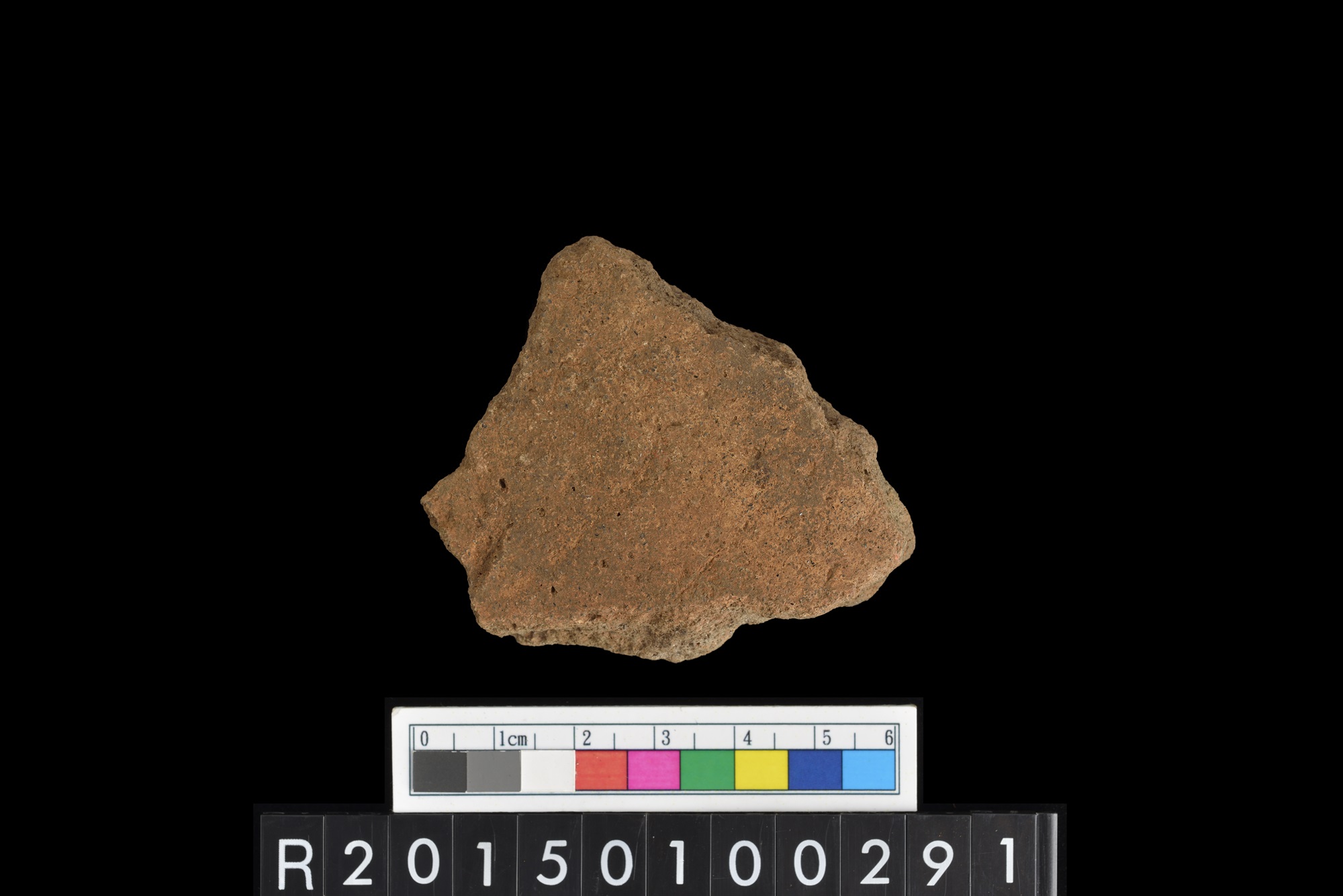 陶片/Pottery sherd