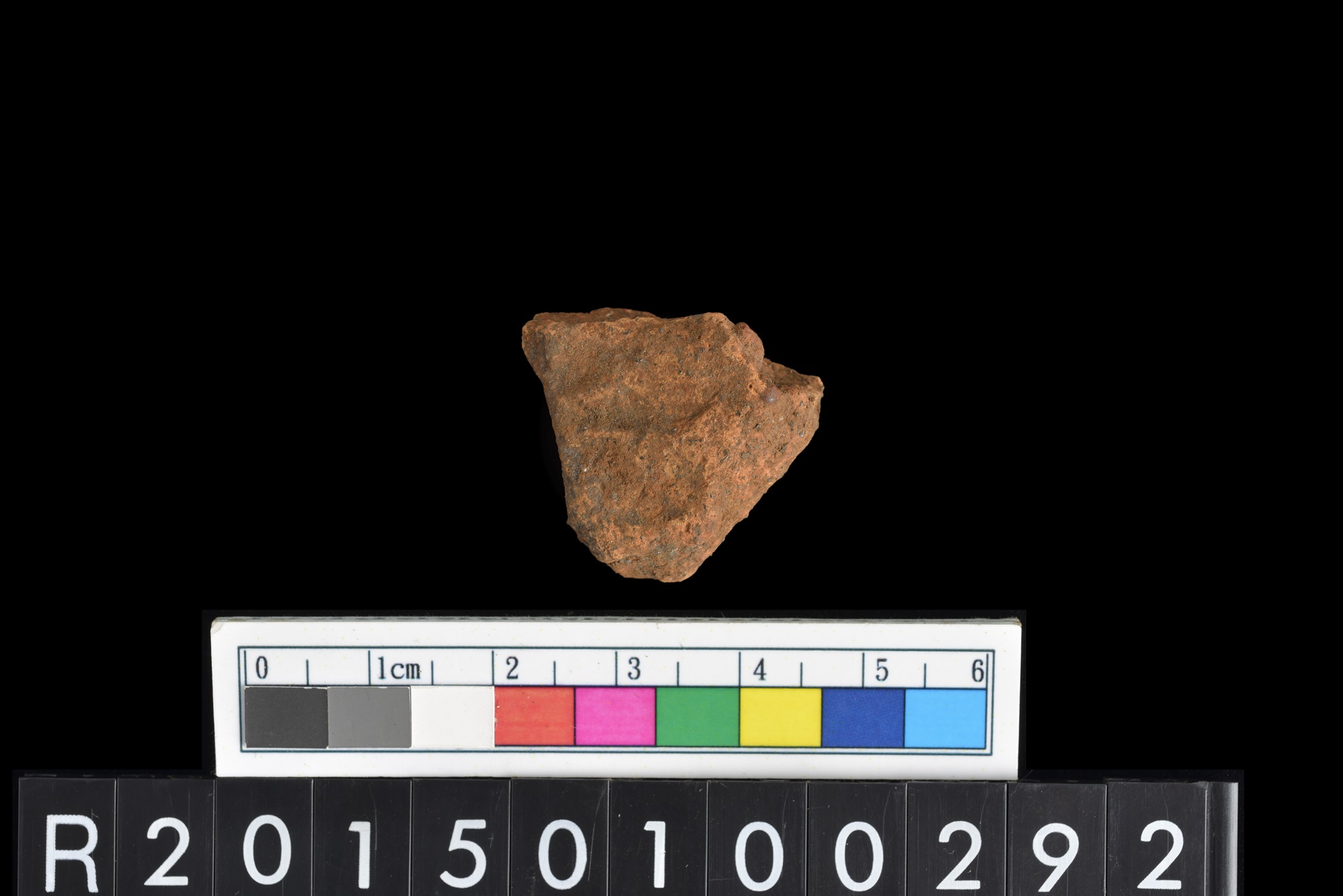 陶片/Pottery sherd