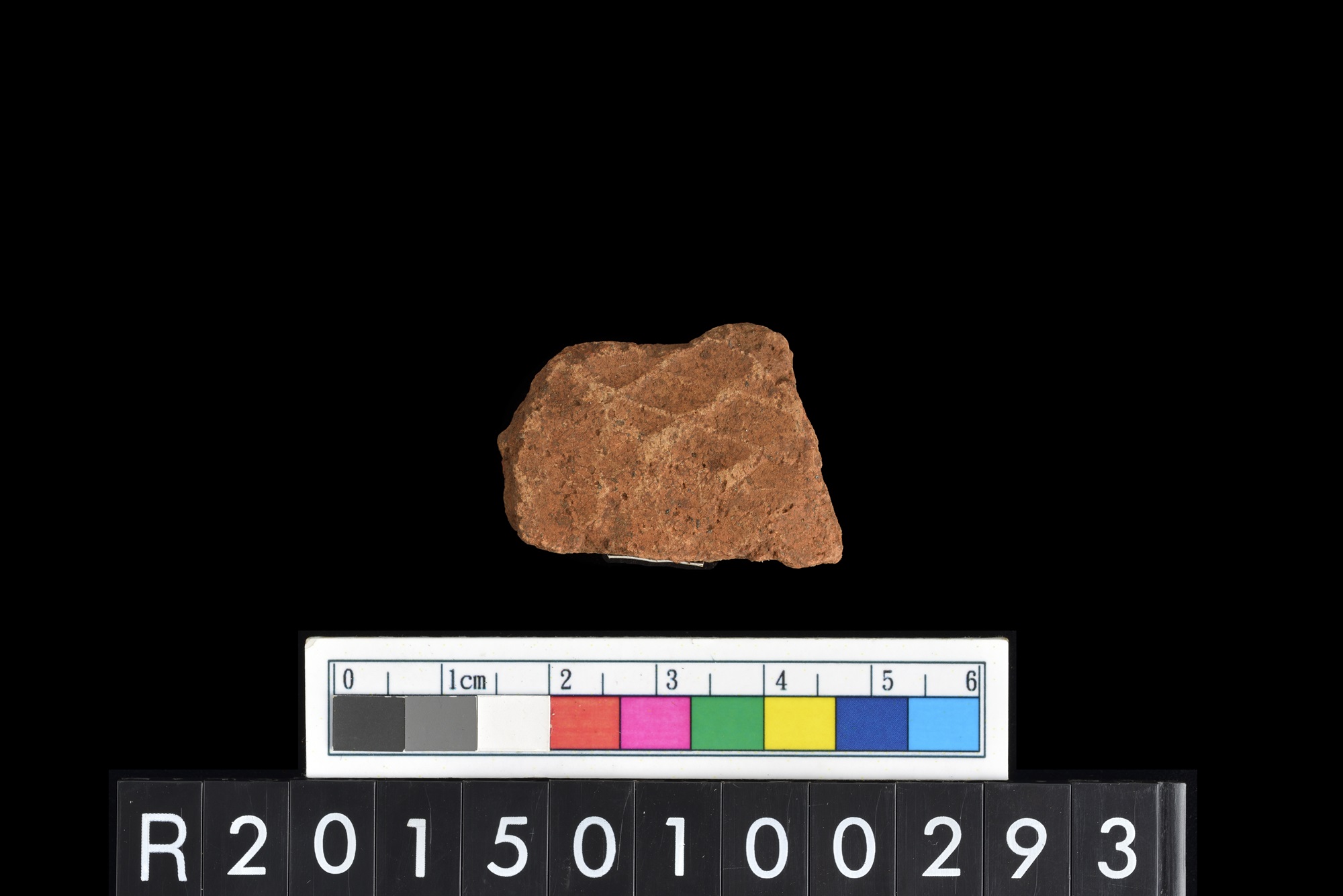 陶片/Pottery sherd