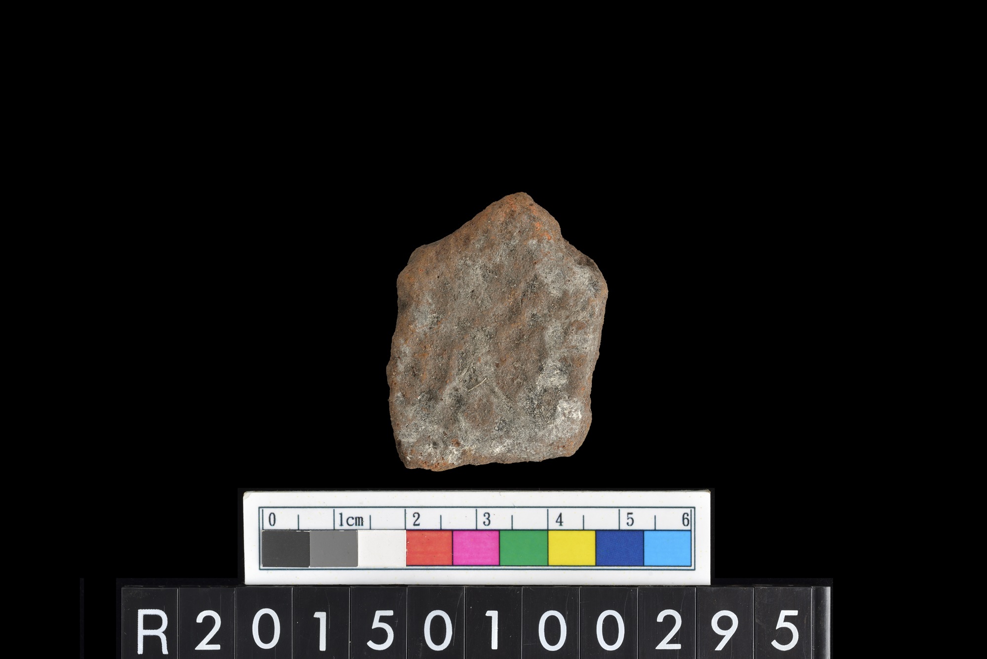 陶片/Pottery sherd