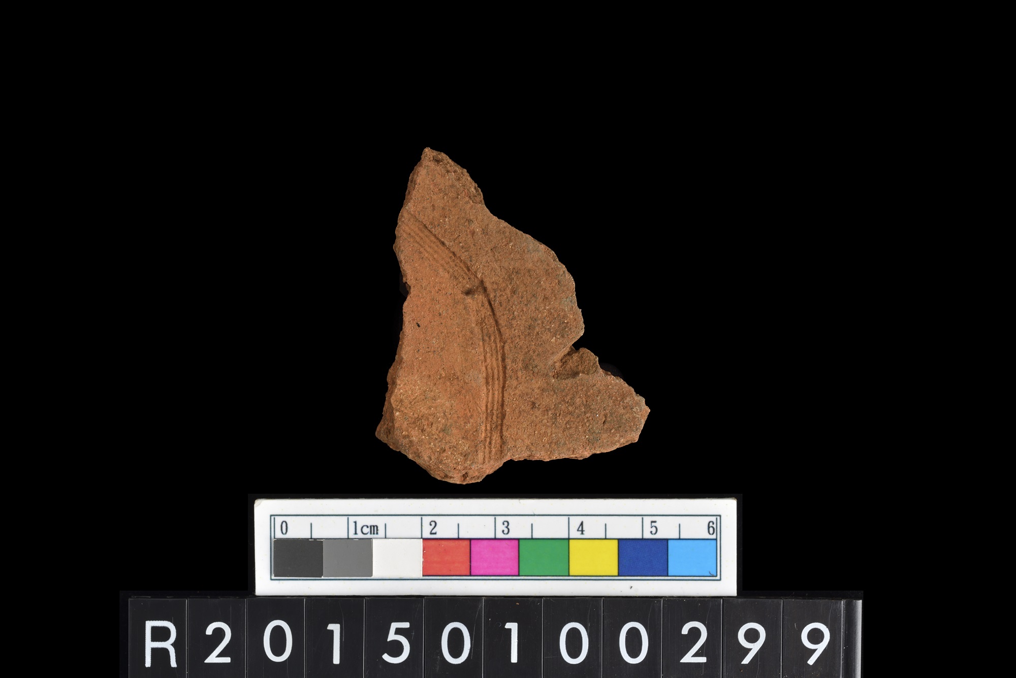 陶片/Pottery sherd