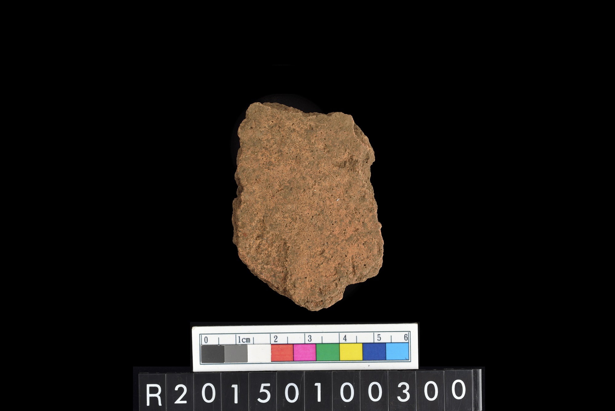 陶片/Pottery sherd