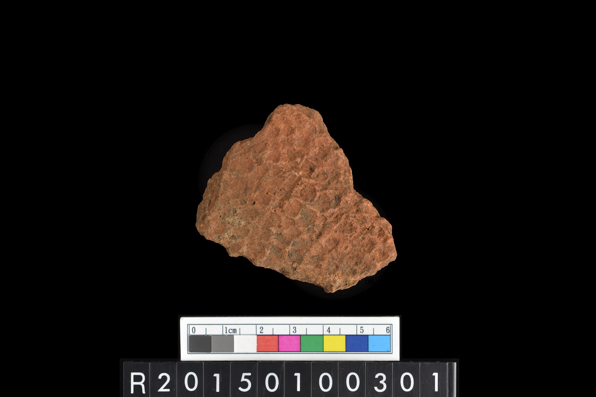 陶片/Pottery sherd