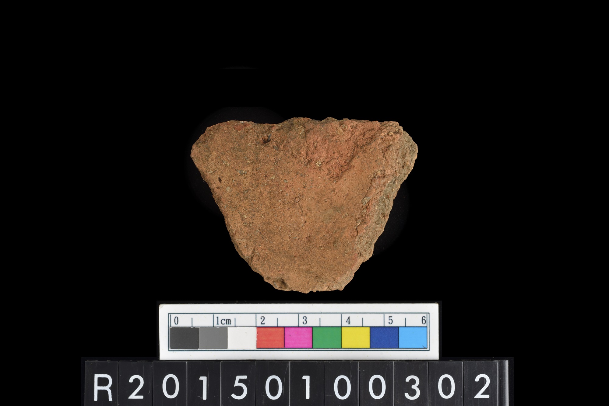 陶片/Pottery sherd