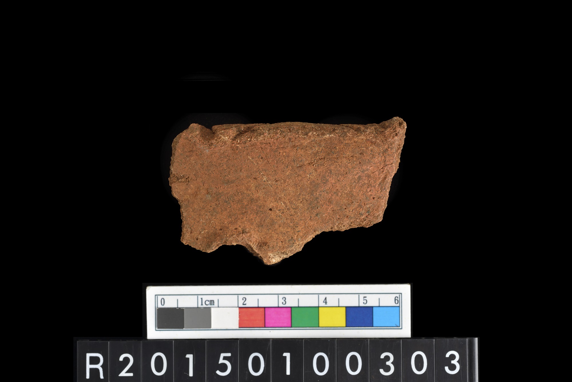 陶片/Pottery sherd
