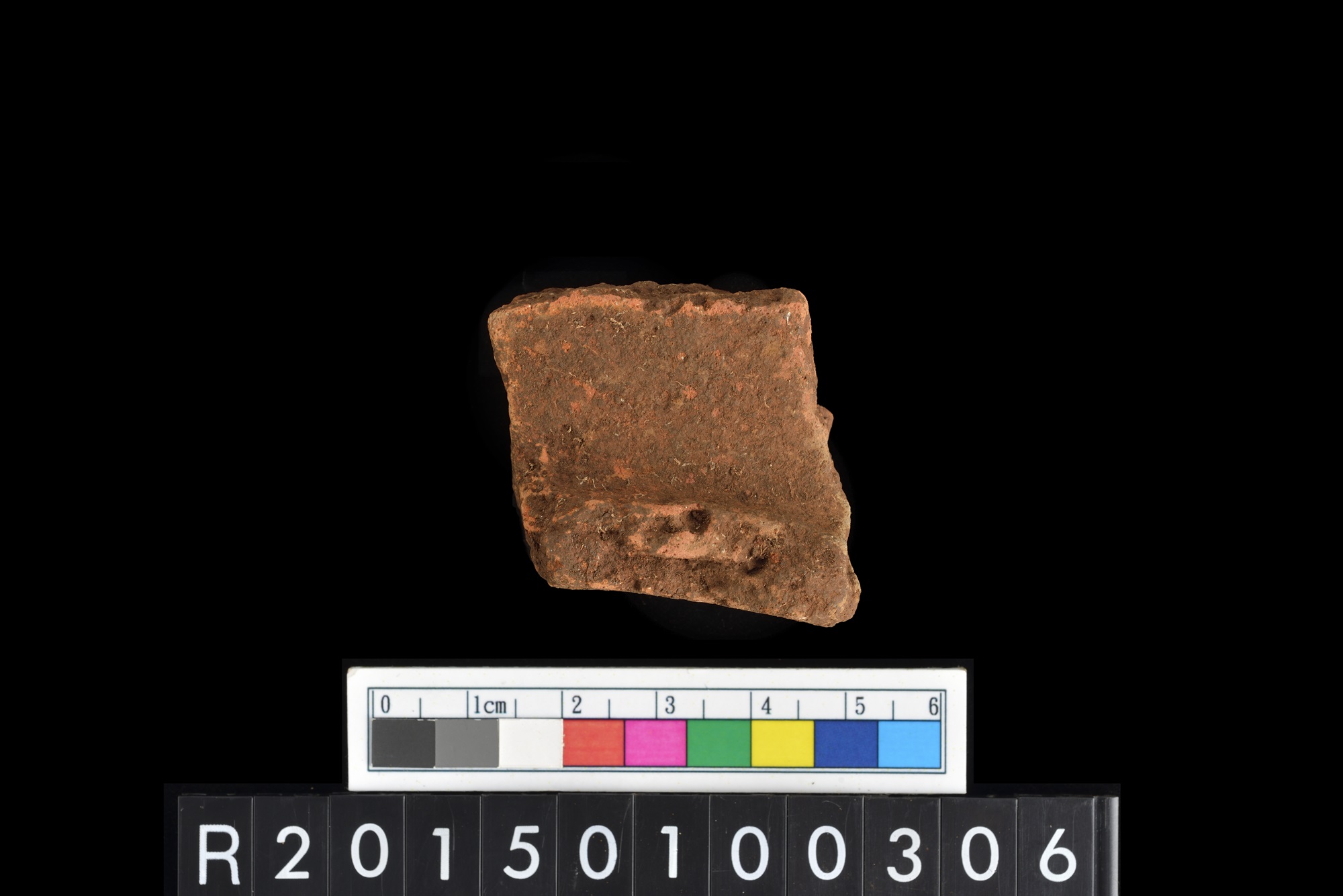 陶片/Pottery sherd