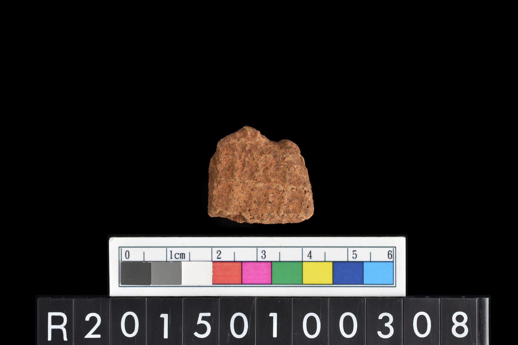 陶片/Pottery sherd
