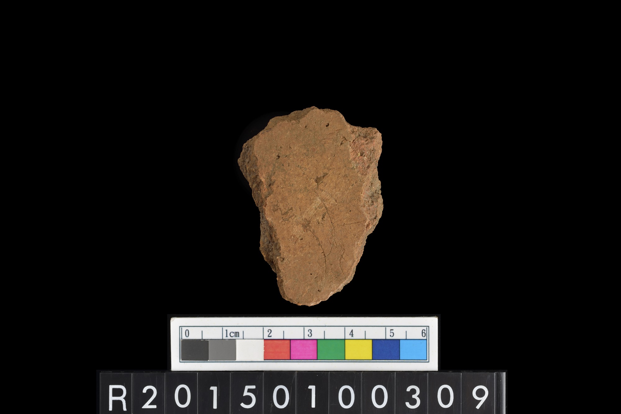 陶片/Pottery sherd